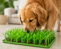 Grass Lick Mat — for Stress-Free Pet Mealtime