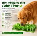 Tapis de Léchage Herbe — pour un Repas Sans Stress pour Votre Animal