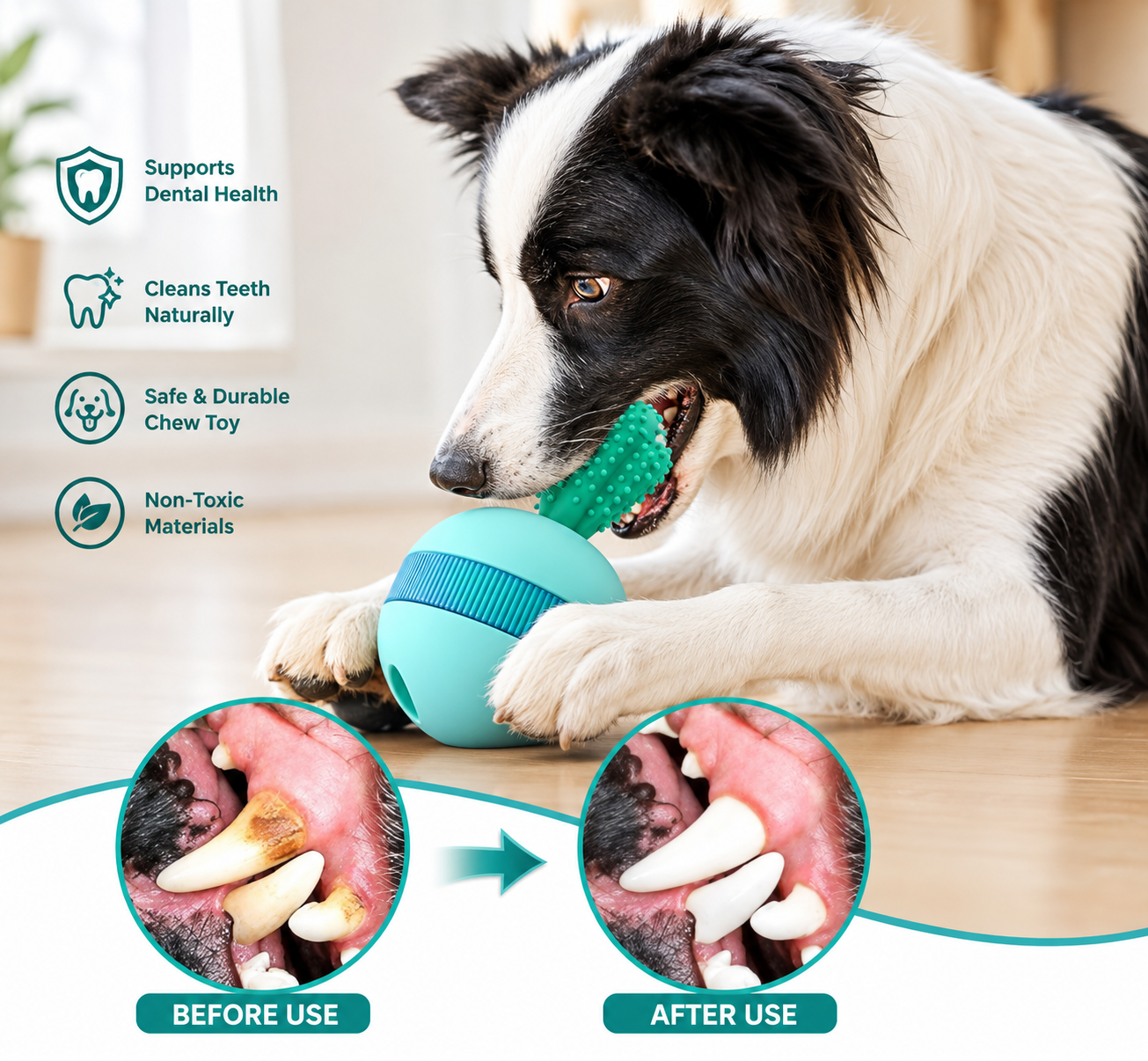 Chew & Reward Interactive Treat Ball — for Dogs